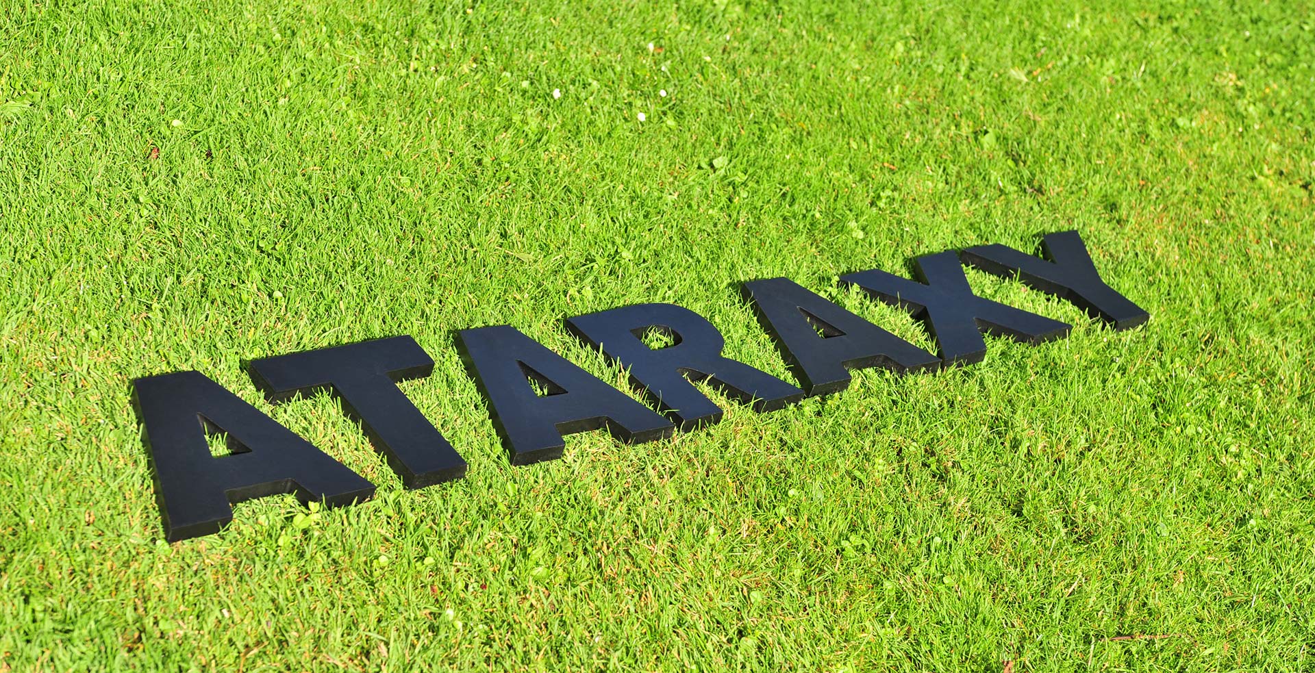 Logo Ataraxy sur une pelouse, impression brochure et packaging